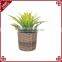 Cheap resin wicker & metal insert miniature table flower pots