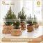 Green Field Washable Kraft Paper Storage Bag waterproof planter bag