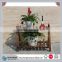 Europe Regional and garden and home decoration use wooden flower plnter rack