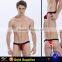 Factory price  express sexy lingerie underwear panty young boy seamless thong
