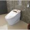 Manufacturer high quality luxury one piece ceramic automatic Intelligent Toilet bowl from china supplier with warm seat