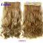 Top Quality 120g / 160g / 220g / 260g cheap 100% human hair double drawn clip in hair extension