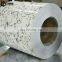 Galvanized  Steel Coil,Flower Painted   Prepainted Galvanized Steel Coil  In Shandong Market