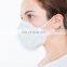 Protective Folding Style Earloop Dust Mask with Invisible Nose Bar