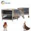 small chicken slaughterhouse machine 100-300bph chicken slaughter machine chicken slaughter equipment