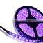 Rigid SMD 5630 LED Strip 24V, 5630 Strip LED