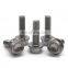 China supplier wholesale customized metric Serrated titanium 12 point flange Bolt and Nut