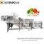 Wide Range Application Industrial Fresh Fruits and Vegetables Bubble Washing Machine
