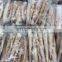 Cheap IQF frozen baby squid good quality for export