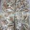 Good price frozen Illex squid strip for export