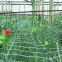 Tomato Support Mesh Climbing Net For Plant Scrog White Plant Support Net
