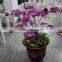 high simulatin artificial flowers for decoration,artificial flowers wholesale