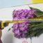  china stylish cut fresh violet flowers