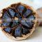 black garlic
