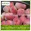 best price yellow peach fruit