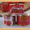 Canned tomato paste factory,professional,concentration for many years