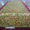 Environmental Friendly Handmade Wool Rugs