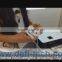 whiteboard clip by better supply