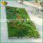 latest design artificial green wall plants