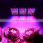 High Efficiency 1000W LED Grow Lights Full Spectrum For Hydroponic Systems