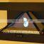 Newest 3D Richtech hologram showcase for mobile phone show
