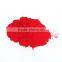 Paints and Plastics Usage Pigment Red 254 Organic pigment DPP Red BO