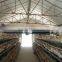 hot sale low price commercial auto water system egg laying poultry battery cage farm equipment breeding chicken cage