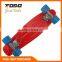 Deluxe Complete Plastic Skateboard Blue Board