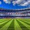 Hot Sale Various Styles Lowes Sod Grass