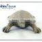 Polyresin Sea turtle sea animal decoration