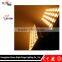 Free Flight Case RGBW 4 in1 Spot Light LED Wall Washer Light
