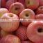 Fuji Apple of Apple Varieties