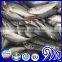 Fresh Frozen Round Scad Fish Price