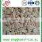 20G jinxiang frozen garlic block from shandong factory