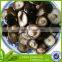 new crop preserved shiitak quarter mushroom in brine