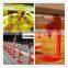 Stainless steel chick drinker/nipple drinking line/chicken farming equipment