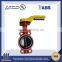 AISI DN500 PN37 butterfly valve