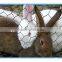 PVC Coated Hexagonal Wire Mesh/Plastic Coated Hexagonal Wire Mesh made in china