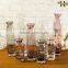 Home Decoration 30cm Tall Glass Bottle Flower Vase