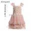 Blush Pink Ballroom Lace Tulle Dress Removable Overskirt Baby Girl Wedding Bridemaid Dress HSD7835