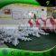 Winter Beautiful Inflatable Lighting Snowflakes , Outdoor Inflatable Christmas Decoration LED Snowflakes Balloon Model