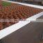 2017 High quality Greenhouse Climate Control Systems With Low Price