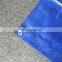 Environmental polyester tarpaulin fabric
