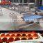 Egg grading machine| egg sorter| egg grader