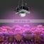 Led COB Grow Light 300W Full Spectrum Grow Tent Greenhouses Plant Grow Lamp for Veg Flowering
