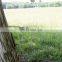 Barbed Fencing Wire 500 Meters Price Length Of Barbed Wire Per Roll