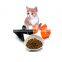 bamboo fiber automatic personalized timer food collapsible drinking eating feeding bowls for cats