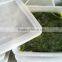 Japanese Seaweed Salad(Undaria Pinnatifida) with Sesome