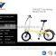 electric bicycle china Electric Folding Bicycle 2016 Electric Bike China Lithium Battery EN15194 EN14764