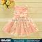 Girl Summer Dress 2016 Children New Style Kids Sleeveless Brand Princess Dress Veil Dress